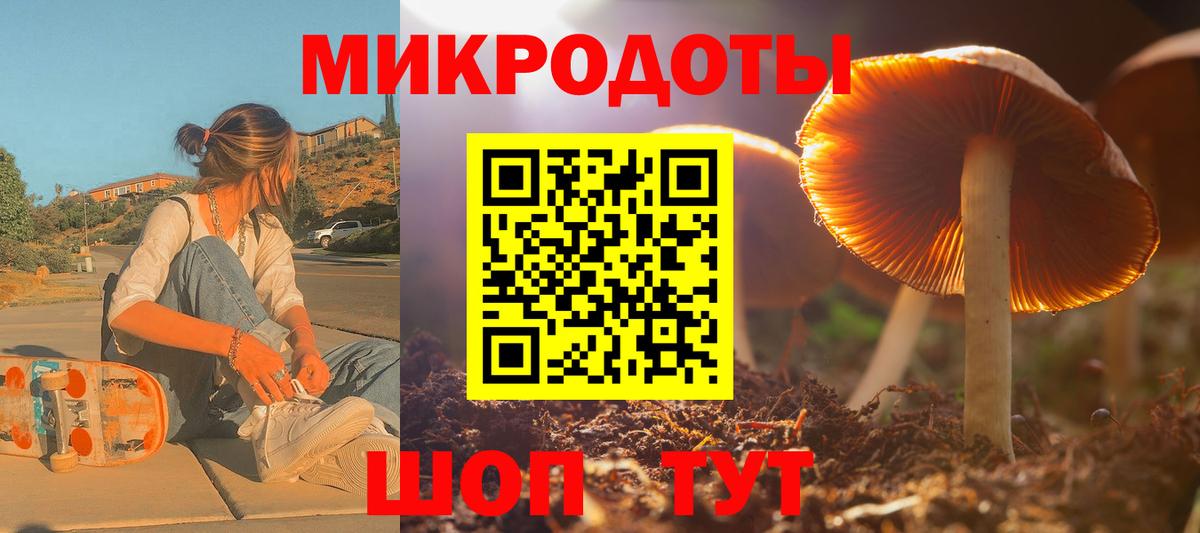 Псилоцибиновые грибы Psilocybine cubensis Ртищево