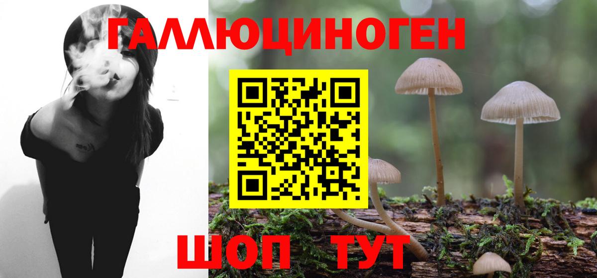 Ртищево  Галлюциногенные грибы мицелий  Псилоцибиновые грибы прущие грибы  Вход с VPN 